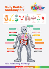 Body Builder Felt Anatomy Kit