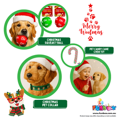 Christmas Santa Paws Pet Bundle