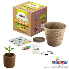 DIY Eco Vegetables Planting Kit