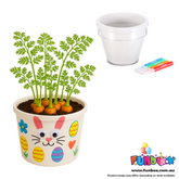 DIY Plant an Easter Carrot Pot Kit (White)