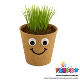 DIY Eco Grass Head Planting Kit