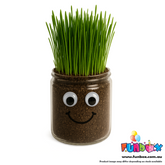 DIY Grass Head Jar Planting Kit