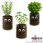 DIY Herb Head Jar Planting Kit