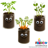 DIY Vegetable Head Jar Planting Kit