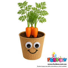 DIY Eco Vegetables Planting Kit