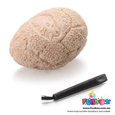 Dino Eggs Dig Kit - Box Of 12