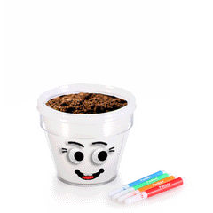 DIY Plant A Grass Head Pot Kit (White)