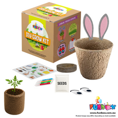 DIY Easter Carrot Planting Kit