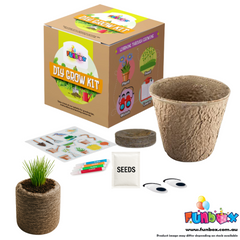 DIY Eco Grass Head Planting Kit