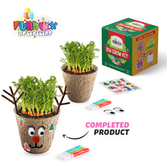 DIY Eco Vegetables Planting Kit