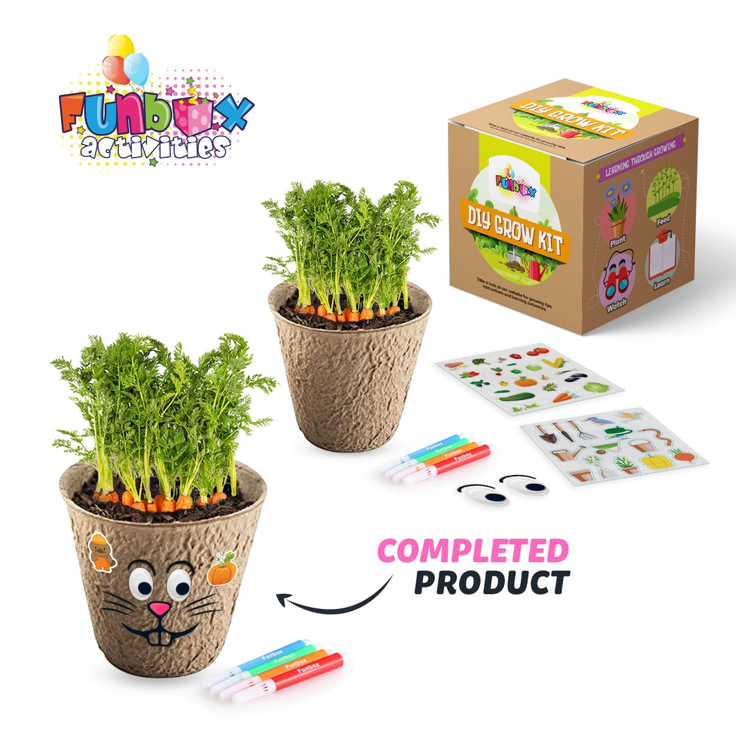 DIY ECO Vegetables Planting Kit