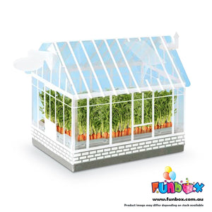 Lunar Year of the Rabbit DIY Carrot Greenhouse Planting Kit