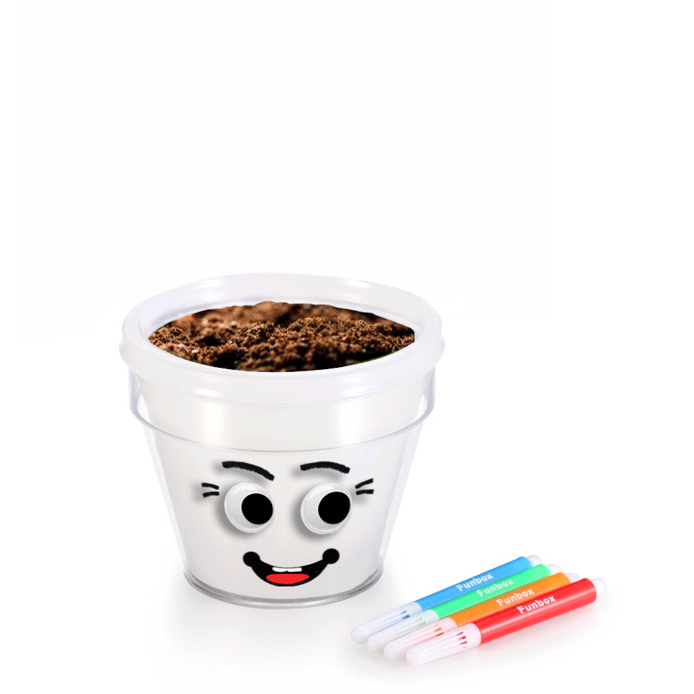 DIY Plant A Grass Head Pot Kit