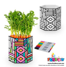 ECO Pop-Up VEG Pot Kit - Geometric Pattern
