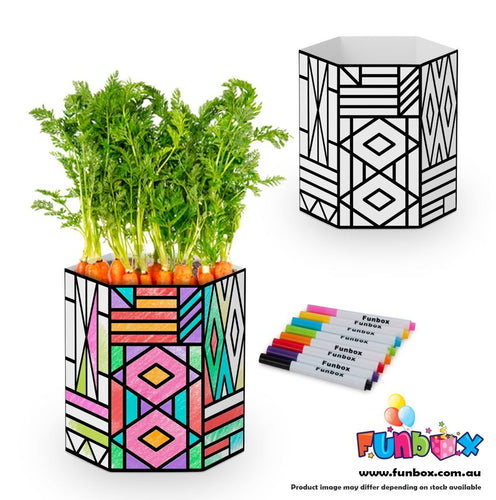ECO Pop-Up VEG Pot Kit - Geometric Pattern