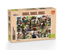 Funbox - Dogs, Dogs, Dogs 1000 Adult's Jigsaw Puzzle