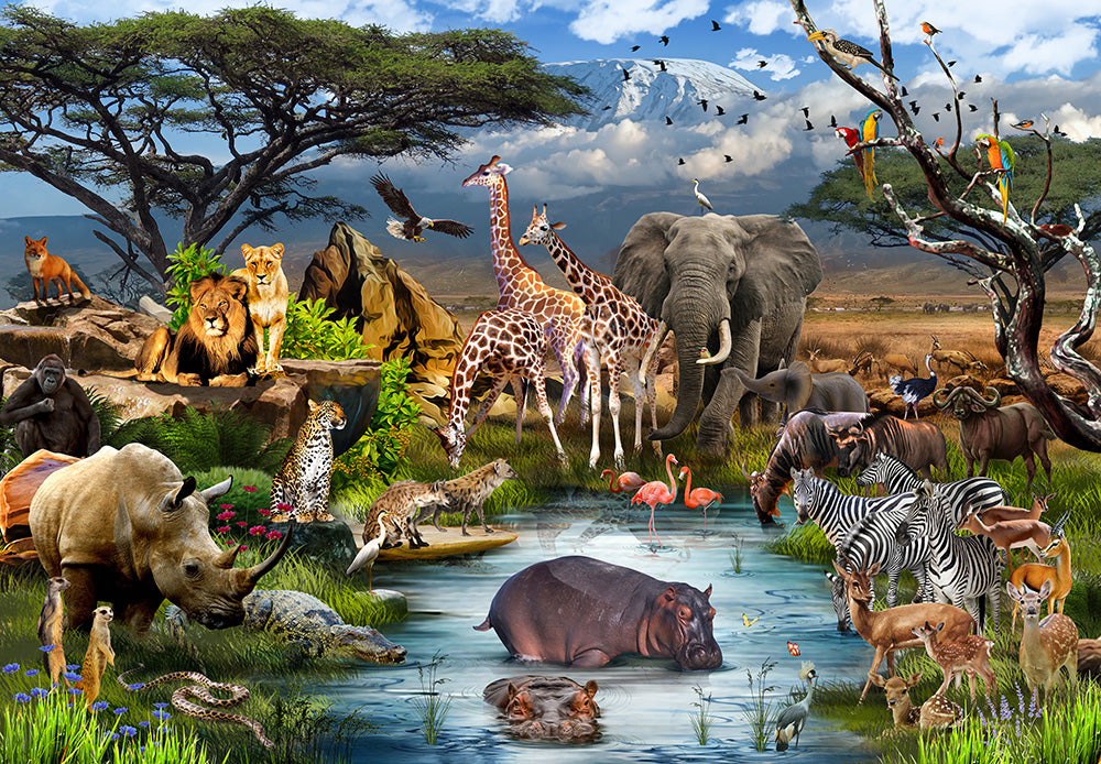 Funbox - Dreaming Of Africa 1000 Piece Adult's Jigsaw Puzzle
