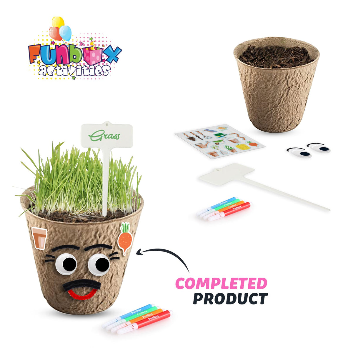 DIY Eco Grass Head Planting Kit