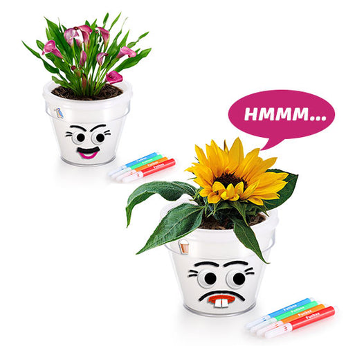 DIY Flower Head Pot