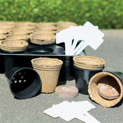 DIY Eco Grass Head Planting Kit