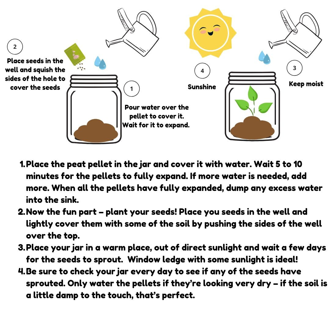 DIY Eco Grass Head Planting Kit