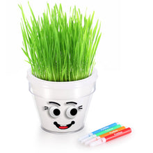 DIY Plant A Grass Head Pot Kit