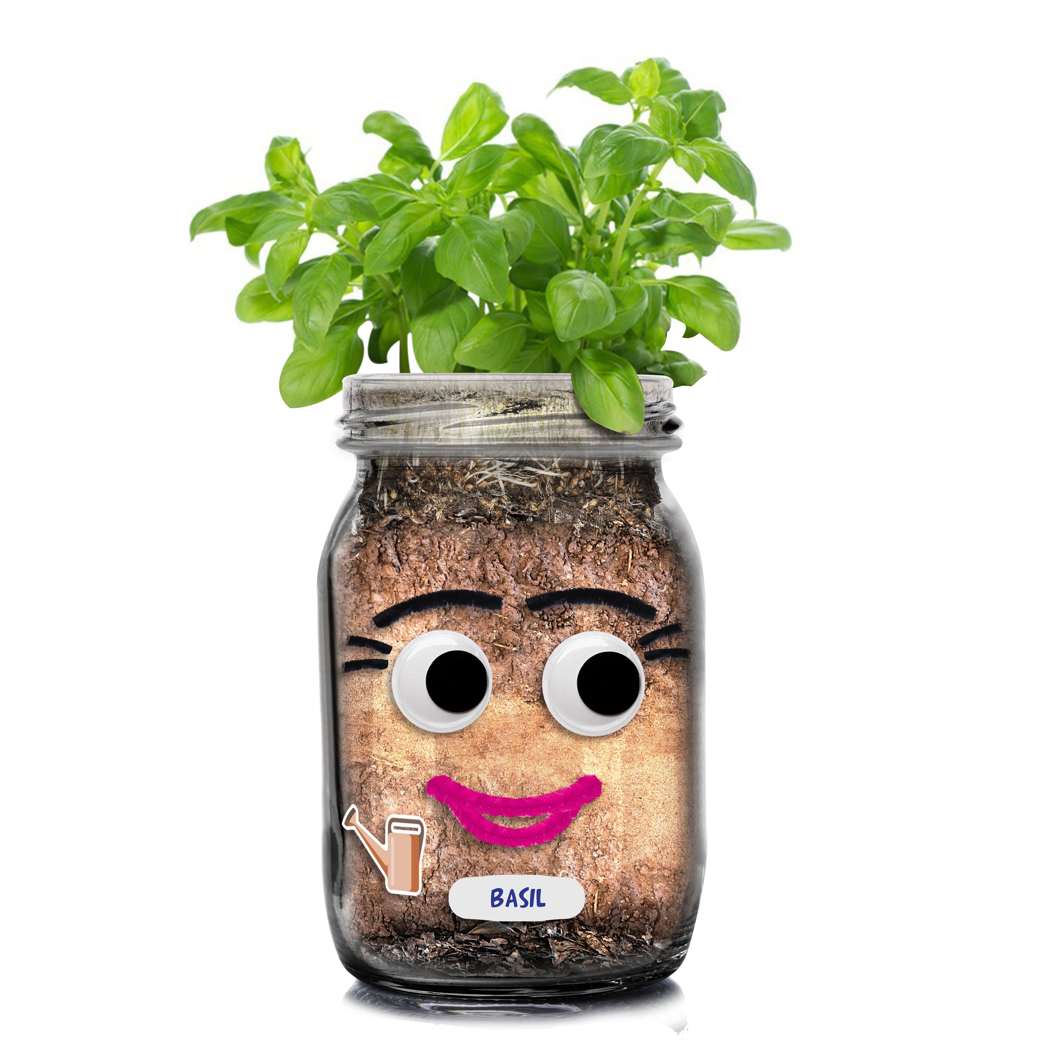 DIY Herb Head Jar Planting Kit