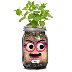 DIY Herb Head Jar Planting Kit