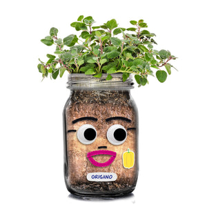DIY Herb Head Jar Planting Kit