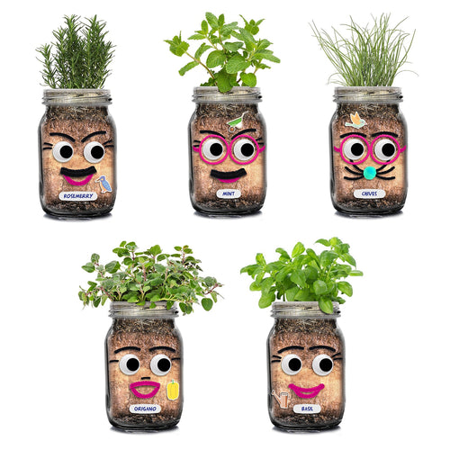 DIY Herb Head Jar Planting Kit