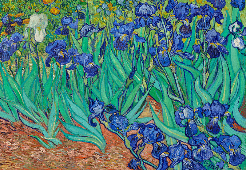 Funbox - Van Gogh's Irises 1000 Piece Adult's Jigsaw Puzzle