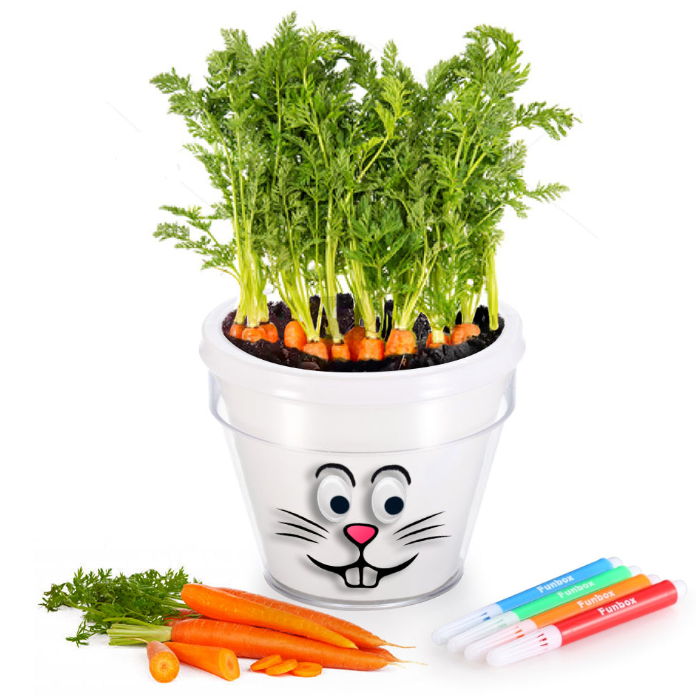 DIY Plant-A-Carrot Pot Kit