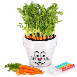 DIY Plant a Carrot Pot Kit