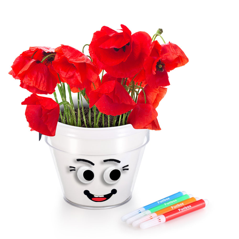 DIY Plant A Poppy Pot Kit