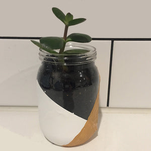 DIY Jar Kit