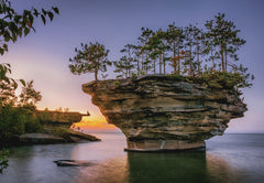 Funbox - Turnip Rock 1000 Piece Adult's Jigsaw Puzzle