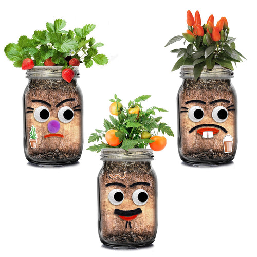 DIY Veg Heads