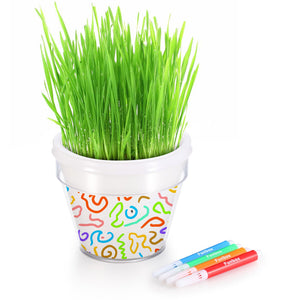 DIY Plant A Grass Head Pot Kit