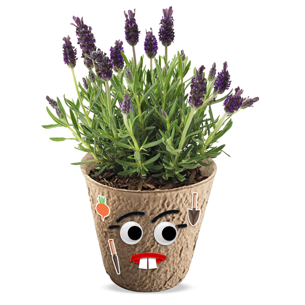 DIY Flower Planting Pot Kit