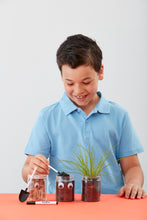 DIY Grass Head Jar Planting Kit