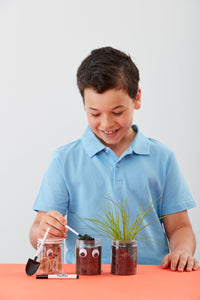 DIY Grass Head Jar Planting Kit