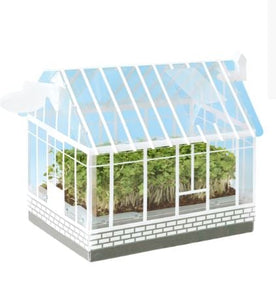 Lunar Year of the Rabbit DIY Carrot Greenhouse Planting Kit